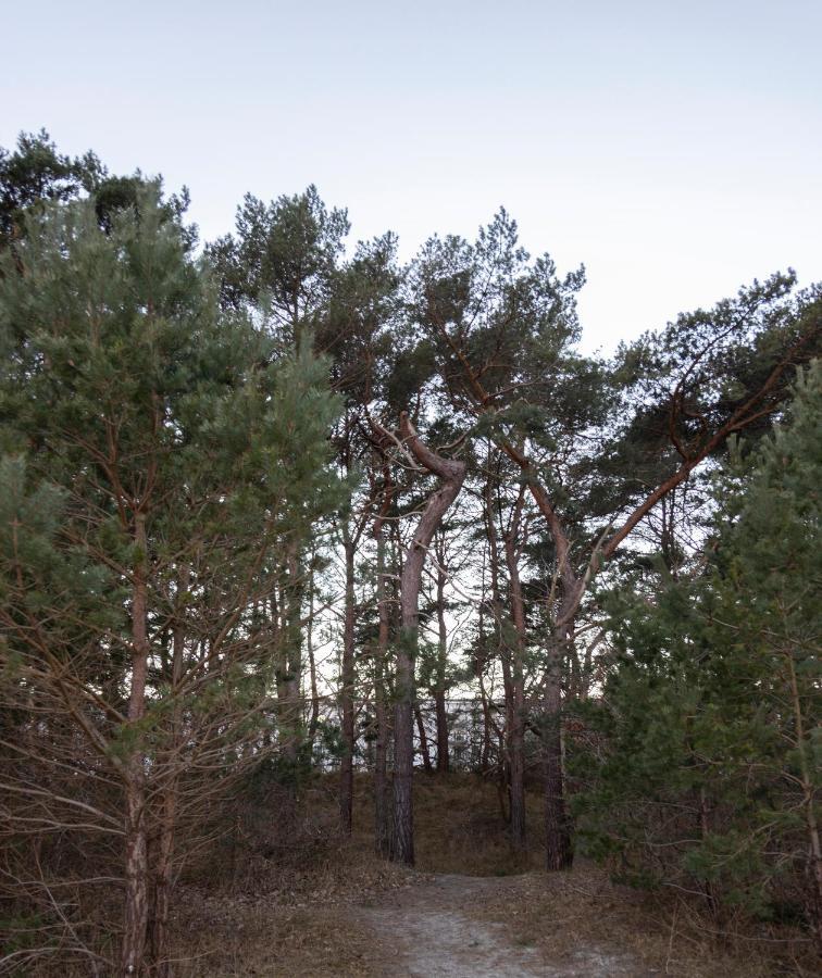 Luxus-Maisonette Fuer Die Grosse Familie Mit Direktem Strandzugang Binz Esterno foto